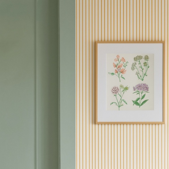 Hand Illustrated Botanics Art Print - Ready To Frame - Picture 2 of 8